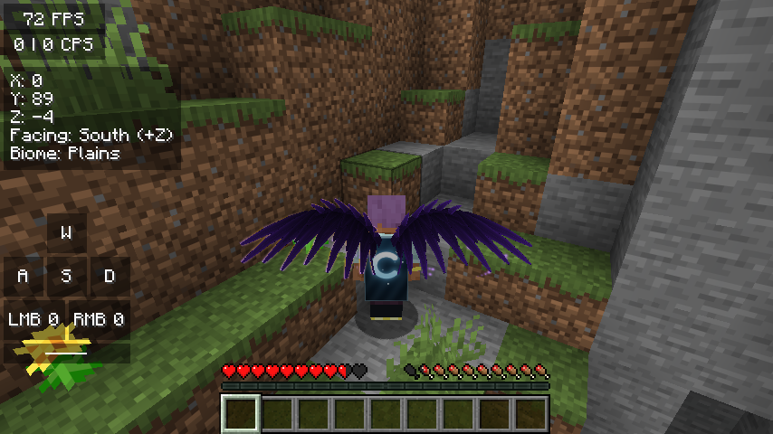 Void wings and Frost cape in game
