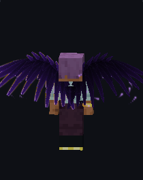 Void wings